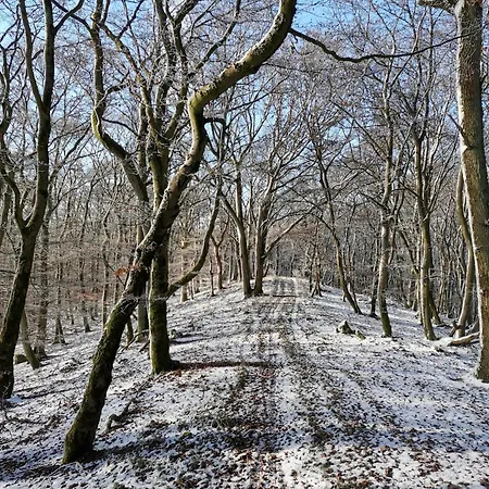 Prázdninový dům Auszeit-bei-brandt Im Sauerland *