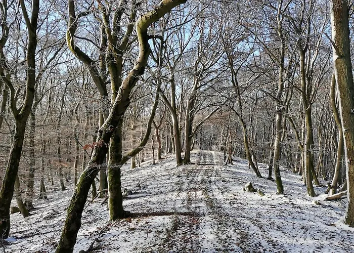 別荘 Auszeit-bei-brandt Im Sauerland *